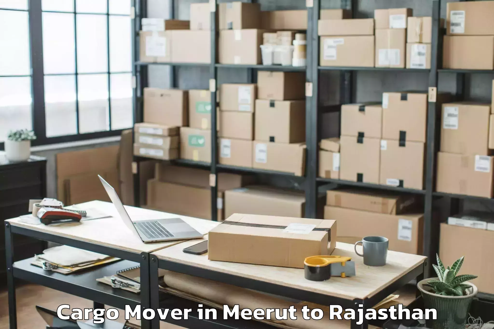 Quality Meerut to Banasthali Vidyapith Cargo Mover